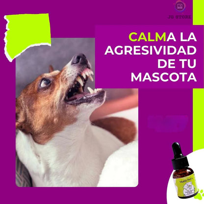 Calm™ Calmante natural para mascotas