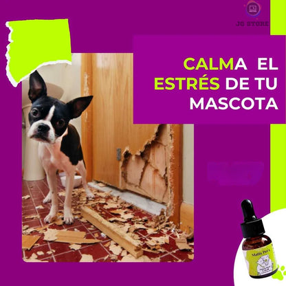 Calm™ Calmante natural para mascotas